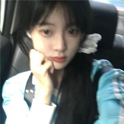 科搜研之女 剧场版